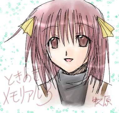 寺さんから頂きました。